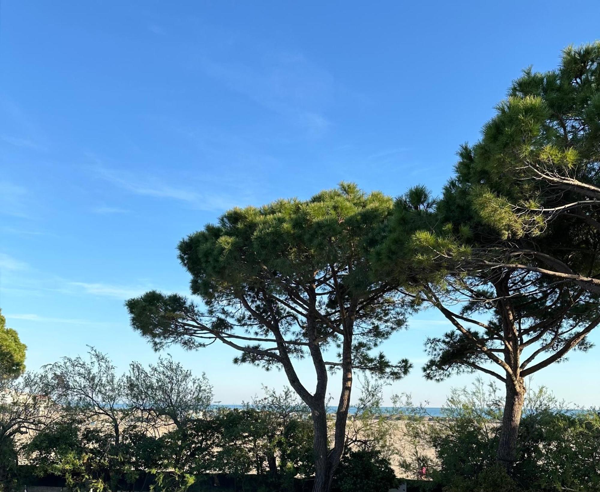 Porto San Vito